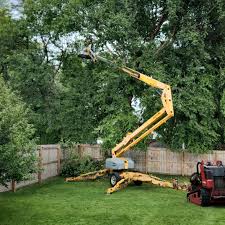 Best Mulching Services  in USA